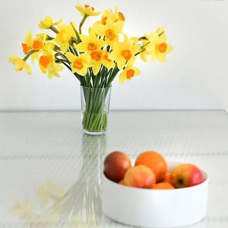 公寓 Haus Nautica 317